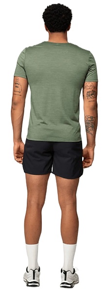 Pánské merino triko Devold Everyday Active GO-293-283-B-421A 26/27