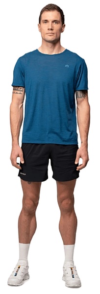 Pánské merino triko Devold Everyday Active GO-293-283-B-291A 26/27