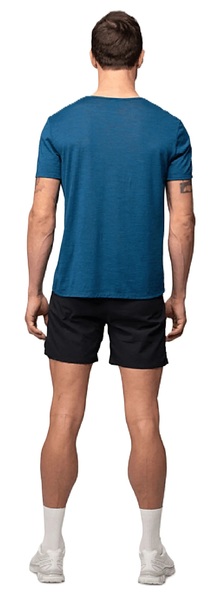 Pánské merino triko Devold Everyday Active GO-293-283-B-291A 26/27