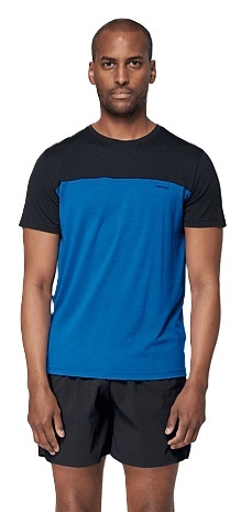 Pánské merino triko Devold Everyday Classic Linear Tee Man GO 180 213 C 250B 26/27