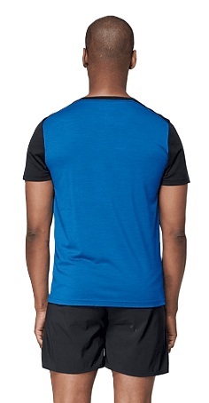 Pánské merino triko Devold Everyday Classic Linear Tee Man GO 180 213 C 250B 26/27