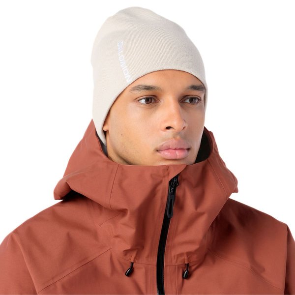 Zimní čepice Salomon Graphic Beanie Silver Cloud LC2938800 26/27